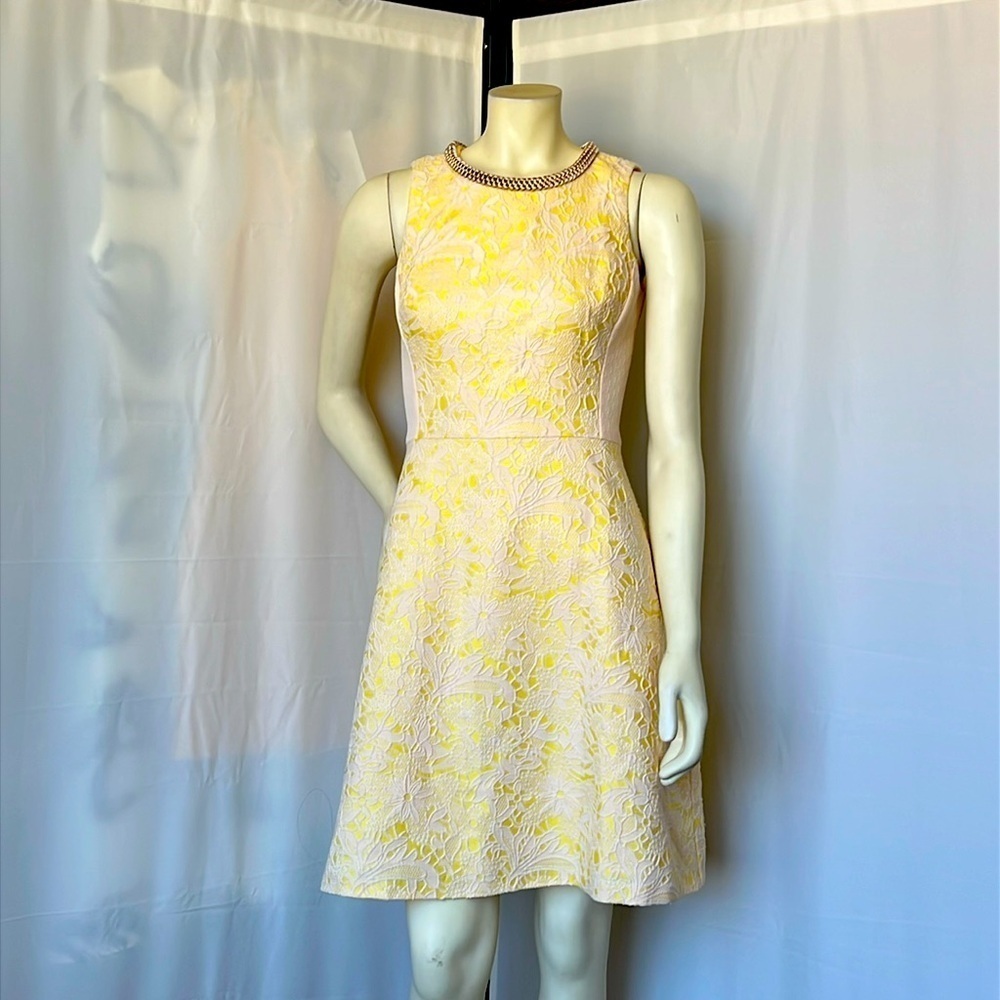 Badgley Mishka Belle Lace Design Dress
